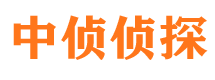 嵩明外遇出轨调查取证